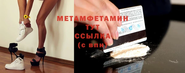 шишки Медвежьегорск